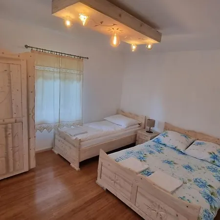 Pokoje Pod Modrzewiami Ciche  Zewnętrze zdjęcie